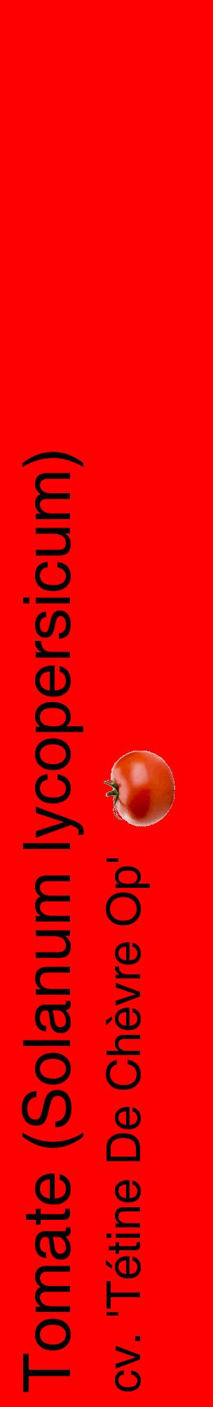 Étiquette de : Solanum lycopersicum cv. 'Tétine De Chèvre Op' - format c - style noire27_basiquehel avec comestibilité simplifiée