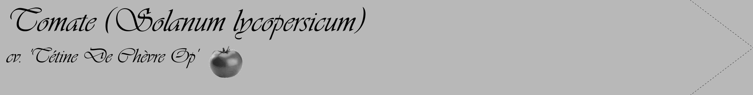 Étiquette de : Solanum lycopersicum cv. 'Tétine De Chèvre Op' - format c - style noire39_simple_simpleviv avec comestibilité simplifiée
