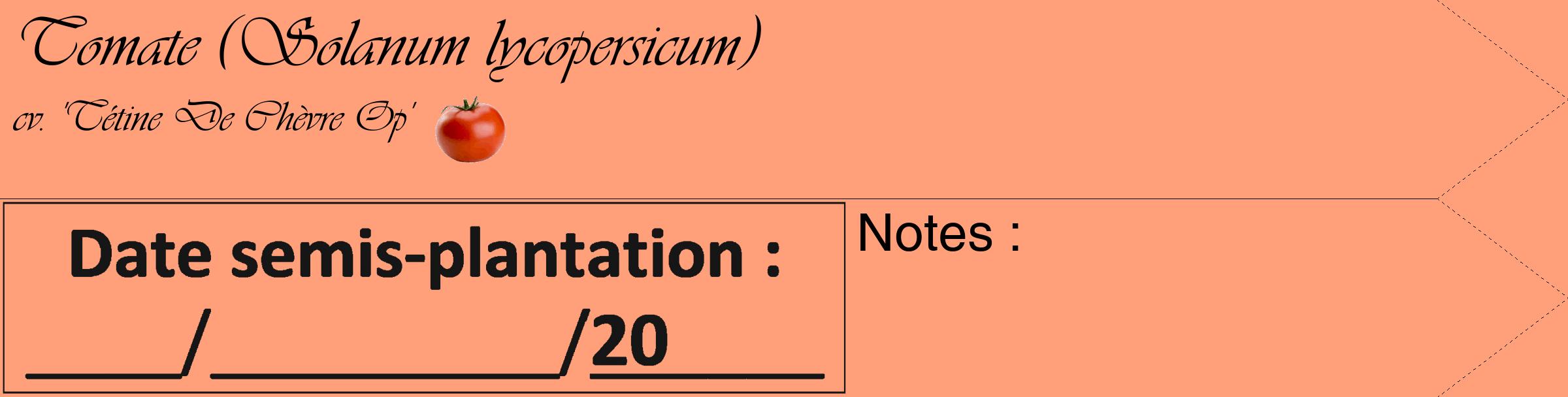 Étiquette de : Solanum lycopersicum cv. 'Tétine De Chèvre Op' - format c - style noire39_simple_simpleviv avec comestibilité simplifiée
