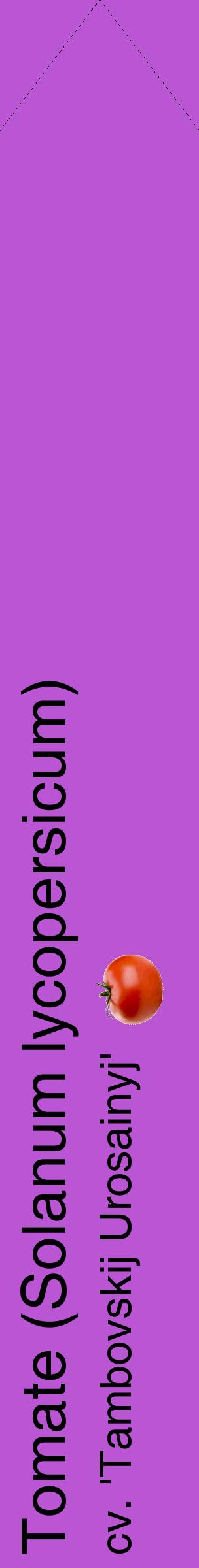 Étiquette de : Solanum lycopersicum cv. 'Tambovskij Urosainyj' - format c - style noire50_simplehel avec comestibilité simplifiée
