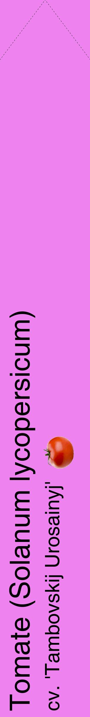 Étiquette de : Solanum lycopersicum cv. 'Tambovskij Urosainyj' - format c - style noire53_simplehel avec comestibilité simplifiée