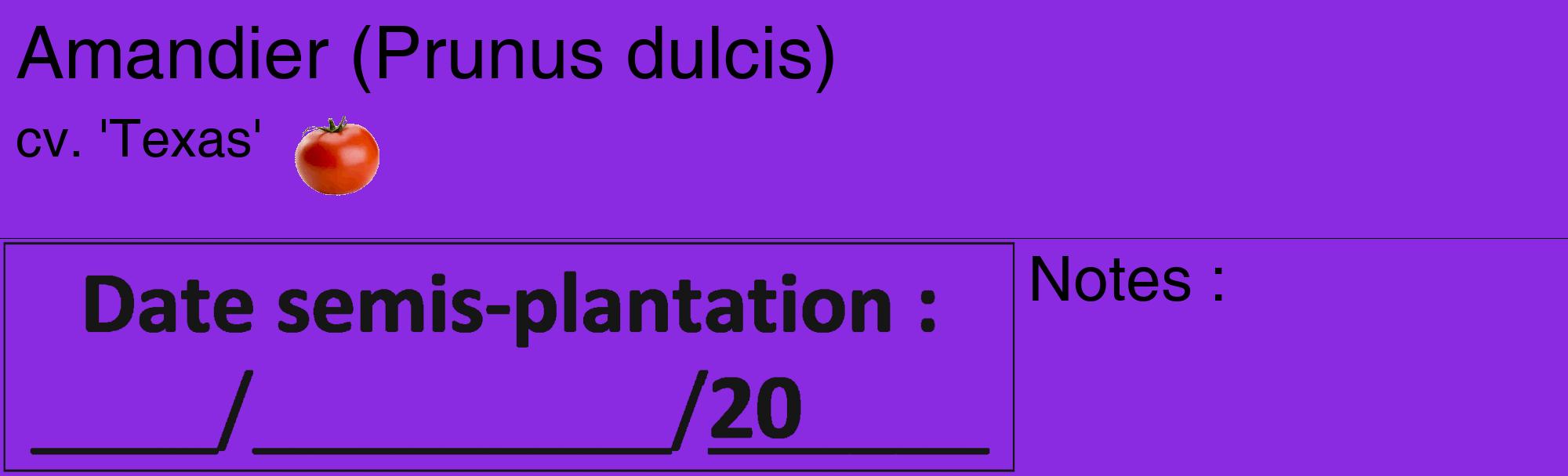 Étiquette de : Prunus dulcis cv. 'Texas' - format c - style noire49_basique_basiquehel avec comestibilité simplifiée