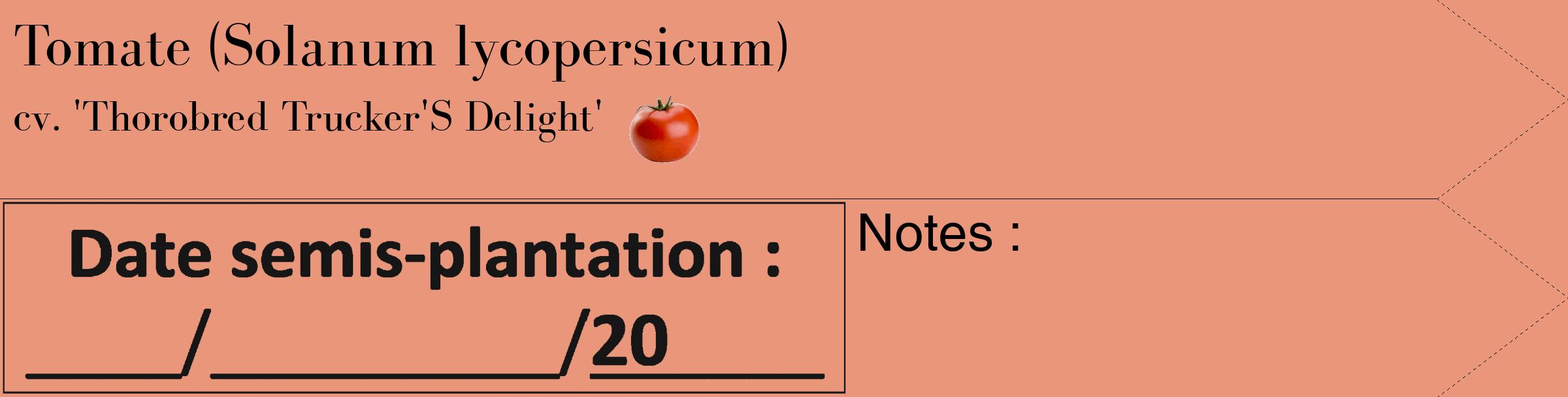 Étiquette de : Solanum lycopersicum cv. 'Thorobred Trucker'S Delight' - format c - style noire37_simple_simplebod avec comestibilité simplifiée