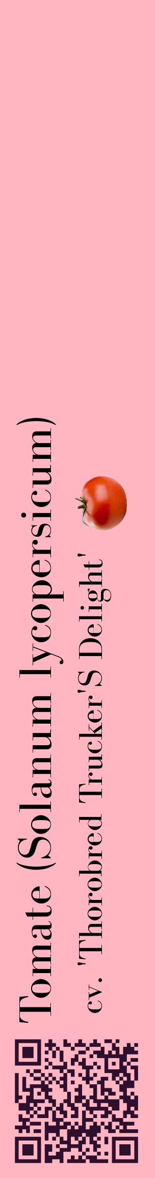 Étiquette de : Solanum lycopersicum cv. 'Thorobred Trucker'S Delight' - format c - style noire41_basiquebod avec qrcode et comestibilité simplifiée