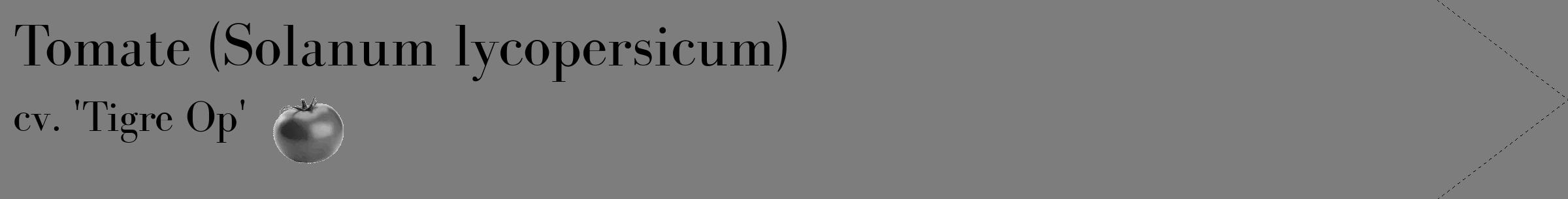 Étiquette de : Solanum lycopersicum cv. 'Tigre Op' - format c - style noire35_simple_simplebod avec comestibilité simplifiée