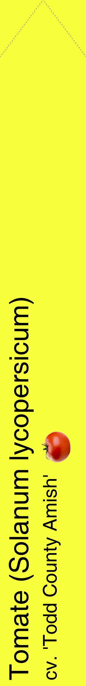 Étiquette de : Solanum lycopersicum cv. 'Todd County Amish' - format c - style noire18_simplehel avec comestibilité simplifiée