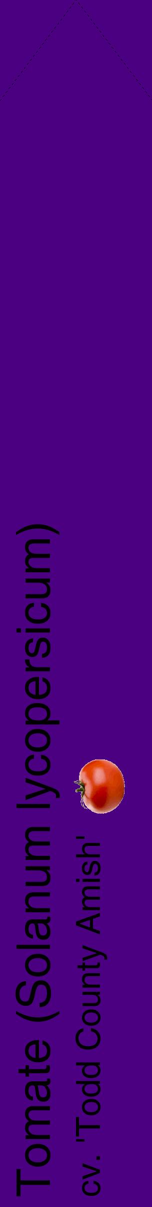 Étiquette de : Solanum lycopersicum cv. 'Todd County Amish' - format c - style noire47_simplehel avec comestibilité simplifiée