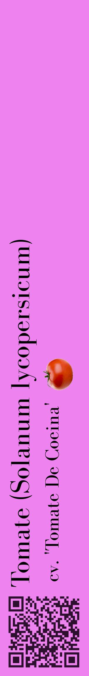 Étiquette de : Solanum lycopersicum cv. 'Tomate De Coeina' - format c - style noire53_basiquebod avec qrcode et comestibilité simplifiée