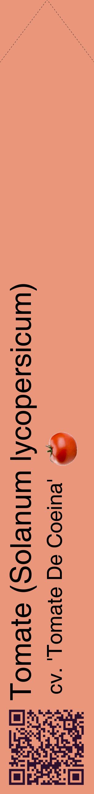 Étiquette de : Solanum lycopersicum cv. 'Tomate De Coeina' - format c - style noire37_simplehel avec qrcode et comestibilité simplifiée