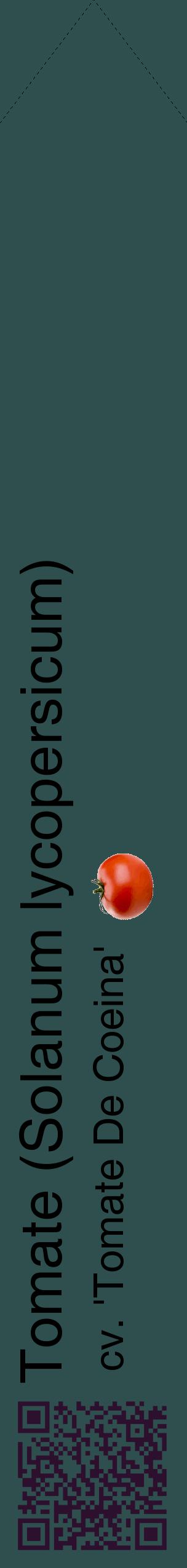 Étiquette de : Solanum lycopersicum cv. 'Tomate De Coeina' - format c - style noire58_simplehel avec qrcode et comestibilité simplifiée