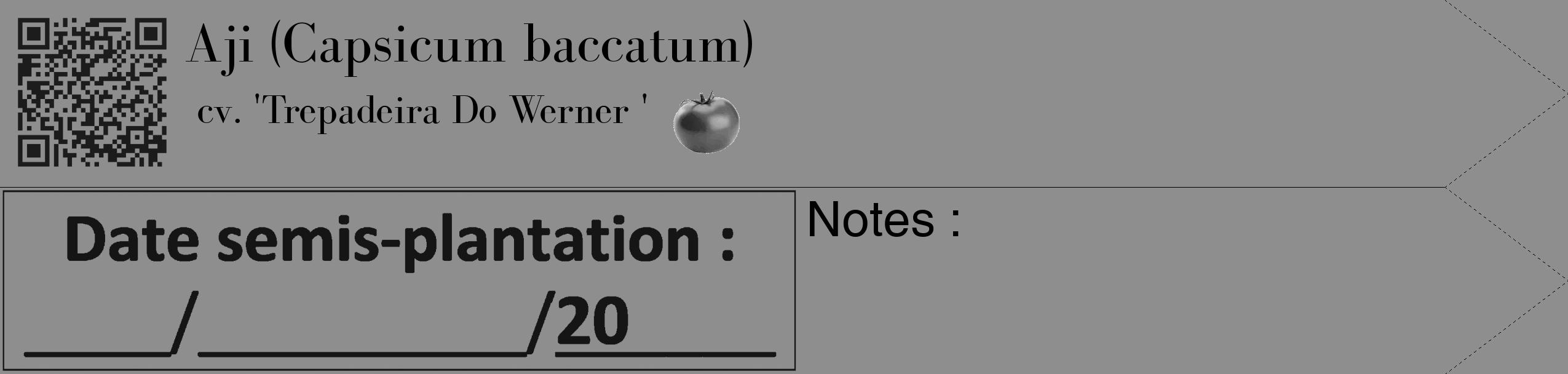 Étiquette de : Capsicum baccatum cv. 'Trepadeira Do Werner ' - format c - style noire25_simple_simplebod avec qrcode et comestibilité simplifiée