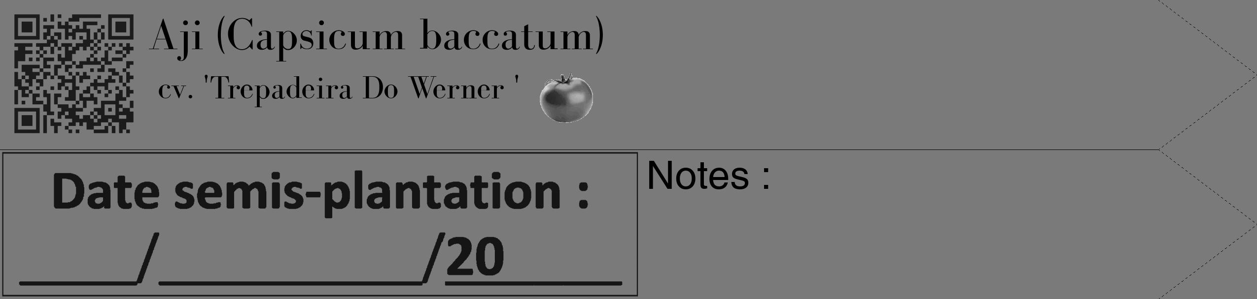 Étiquette de : Capsicum baccatum cv. 'Trepadeira Do Werner ' - format c - style noire3_simple_simplebod avec qrcode et comestibilité simplifiée