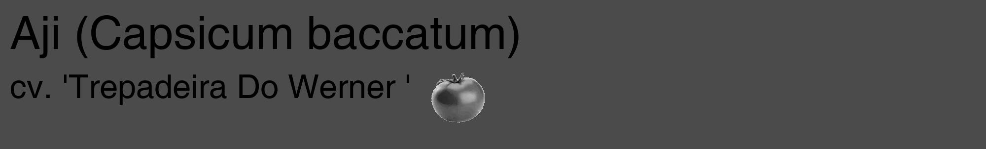 Étiquette de : Capsicum baccatum cv. 'Trepadeira Do Werner ' - format c - style noire9_basique_basiquehel avec comestibilité simplifiée