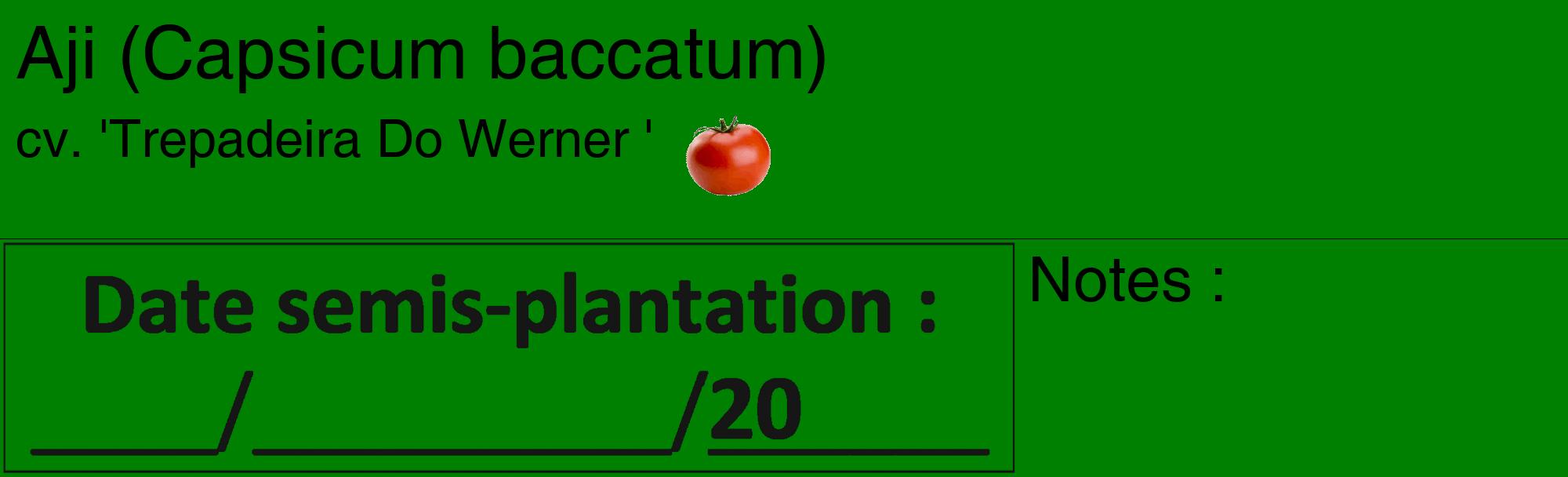 Étiquette de : Capsicum baccatum cv. 'Trepadeira Do Werner ' - format c - style noire9_basique_basiquehel avec comestibilité simplifiée