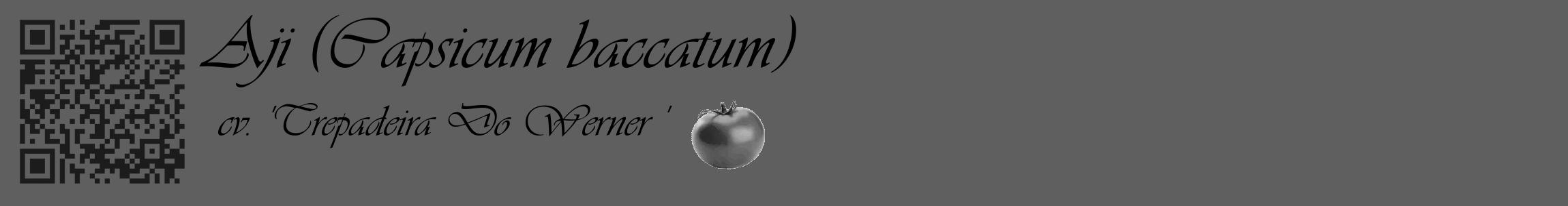 Étiquette de : Capsicum baccatum cv. 'Trepadeira Do Werner ' - format c - style noire10_basique_basiqueviv avec qrcode et comestibilité simplifiée