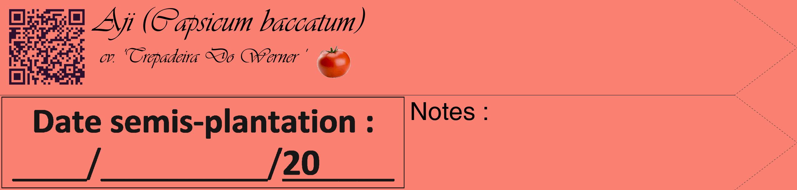 Étiquette de : Capsicum baccatum cv. 'Trepadeira Do Werner ' - format c - style noire38_simple_simpleviv avec qrcode et comestibilité simplifiée