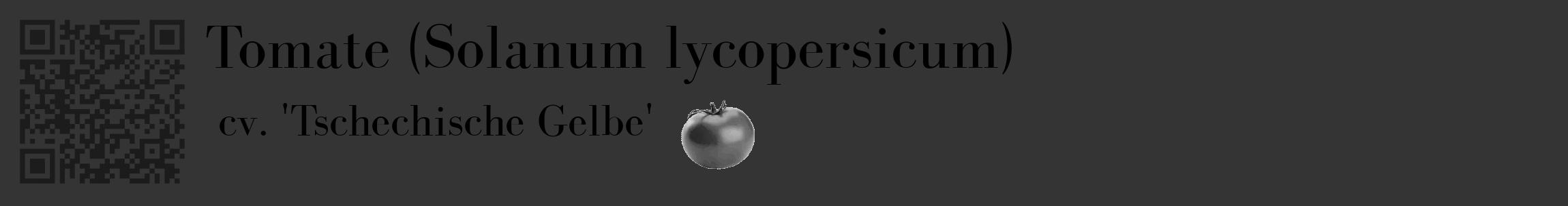 Étiquette de : Solanum lycopersicum cv. 'Tschechische Gelbe' - format c - style noire46_basique_basiquebod avec qrcode et comestibilité simplifiée
