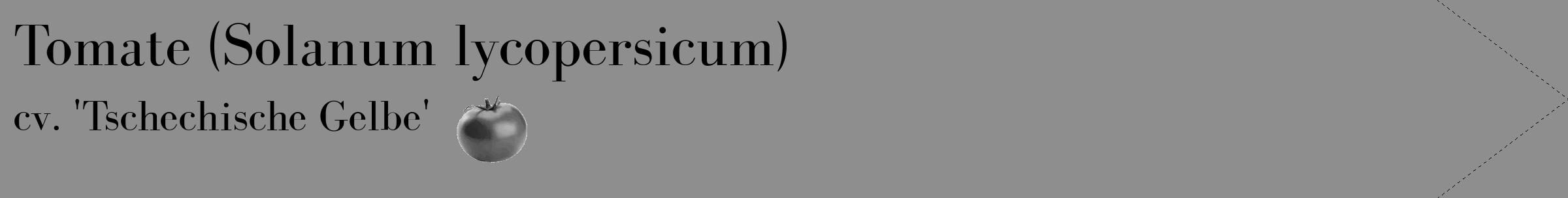 Étiquette de : Solanum lycopersicum cv. 'Tschechische Gelbe' - format c - style noire25_simple_simplebod avec comestibilité simplifiée