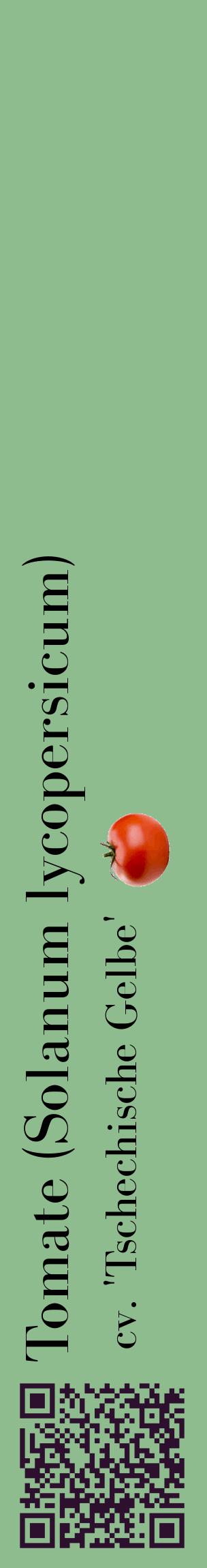 Étiquette de : Solanum lycopersicum cv. 'Tschechische Gelbe' - format c - style noire13_basiquebod avec qrcode et comestibilité simplifiée