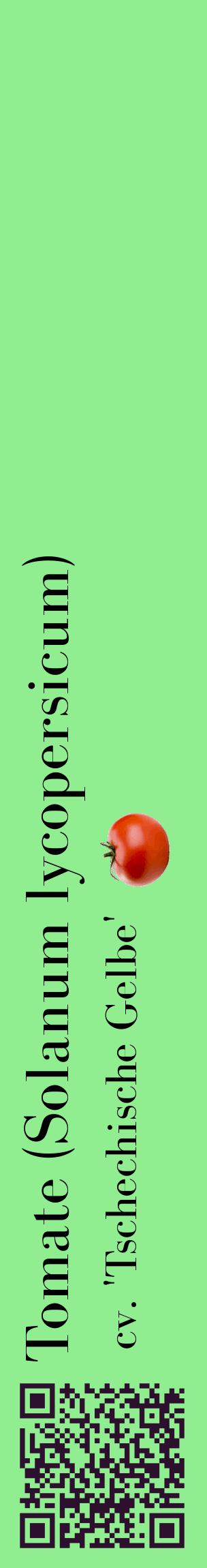 Étiquette de : Solanum lycopersicum cv. 'Tschechische Gelbe' - format c - style noire15_basiquebod avec qrcode et comestibilité simplifiée