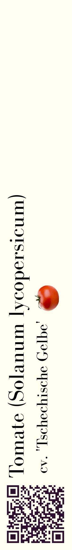 Étiquette de : Solanum lycopersicum cv. 'Tschechische Gelbe' - format c - style noire19_basiquebod avec qrcode et comestibilité simplifiée