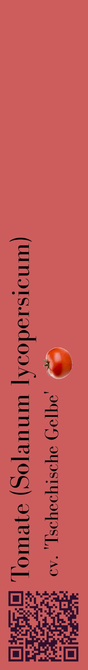 Étiquette de : Solanum lycopersicum cv. 'Tschechische Gelbe' - format c - style noire35_basiquebod avec qrcode et comestibilité simplifiée
