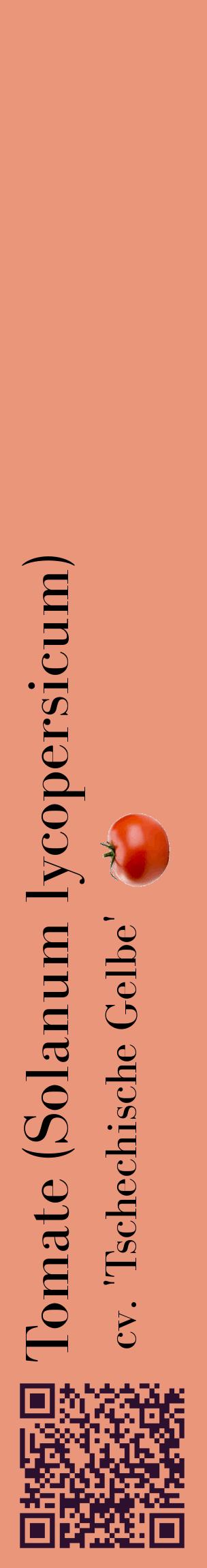 Étiquette de : Solanum lycopersicum cv. 'Tschechische Gelbe' - format c - style noire37_basiquebod avec qrcode et comestibilité simplifiée