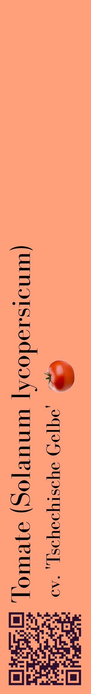 Étiquette de : Solanum lycopersicum cv. 'Tschechische Gelbe' - format c - style noire39_basiquebod avec qrcode et comestibilité simplifiée