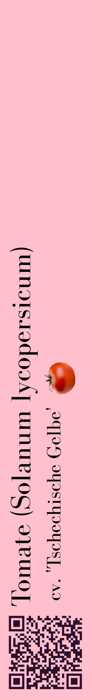 Étiquette de : Solanum lycopersicum cv. 'Tschechische Gelbe' - format c - style noire40_basiquebod avec qrcode et comestibilité simplifiée