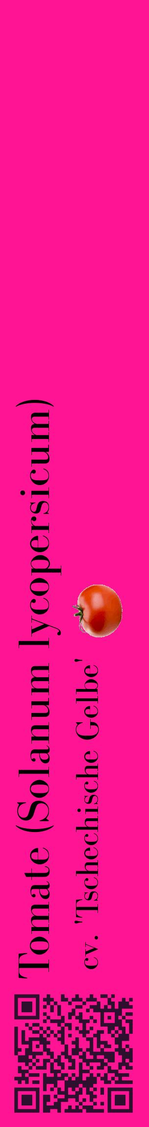 Étiquette de : Solanum lycopersicum cv. 'Tschechische Gelbe' - format c - style noire43_basiquebod avec qrcode et comestibilité simplifiée