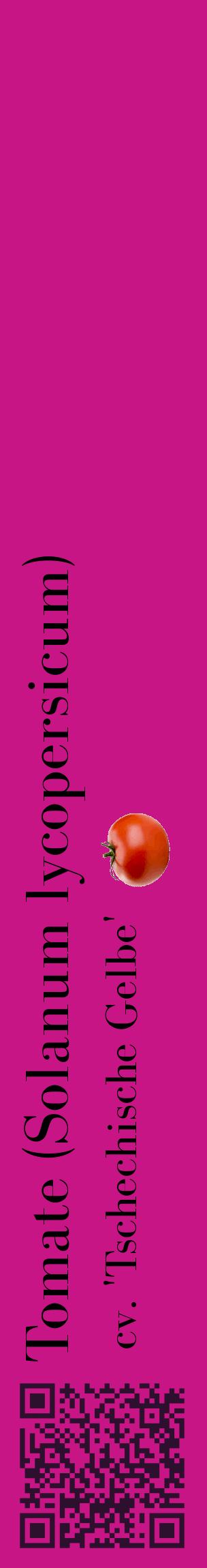 Étiquette de : Solanum lycopersicum cv. 'Tschechische Gelbe' - format c - style noire45_basiquebod avec qrcode et comestibilité simplifiée