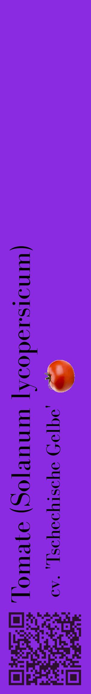 Étiquette de : Solanum lycopersicum cv. 'Tschechische Gelbe' - format c - style noire49_basiquebod avec qrcode et comestibilité simplifiée