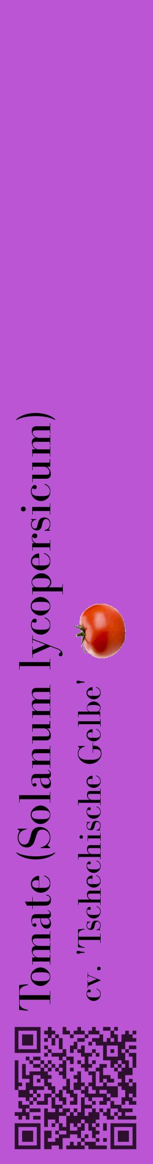 Étiquette de : Solanum lycopersicum cv. 'Tschechische Gelbe' - format c - style noire50_basiquebod avec qrcode et comestibilité simplifiée