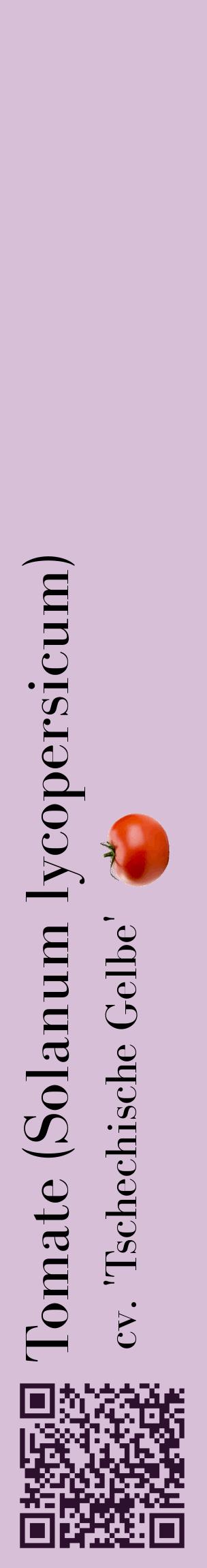 Étiquette de : Solanum lycopersicum cv. 'Tschechische Gelbe' - format c - style noire54_basiquebod avec qrcode et comestibilité simplifiée