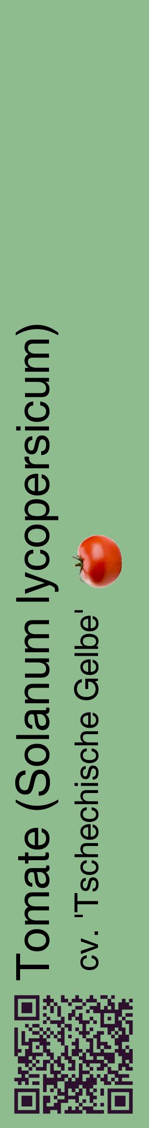 Étiquette de : Solanum lycopersicum cv. 'Tschechische Gelbe' - format c - style noire13_basiquehel avec qrcode et comestibilité simplifiée
