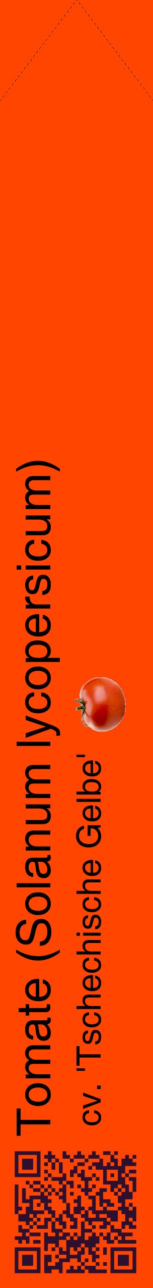 Étiquette de : Solanum lycopersicum cv. 'Tschechische Gelbe' - format c - style noire26_simplehel avec qrcode et comestibilité simplifiée