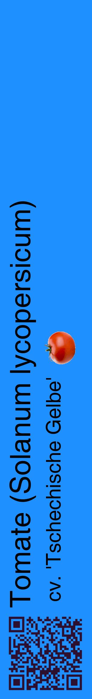 Étiquette de : Solanum lycopersicum cv. 'Tschechische Gelbe' - format c - style noire3_basiquehel avec qrcode et comestibilité simplifiée