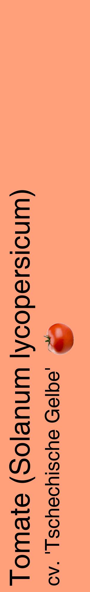 Étiquette de : Solanum lycopersicum cv. 'Tschechische Gelbe' - format c - style noire39_basiquehel avec comestibilité simplifiée