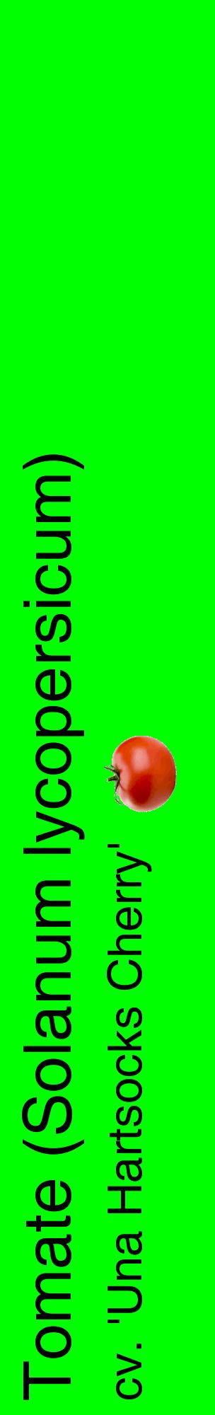 Étiquette de : Solanum lycopersicum cv. 'Una Hartsocks Cherry' - format c - style noire16_basiquehel avec comestibilité simplifiée