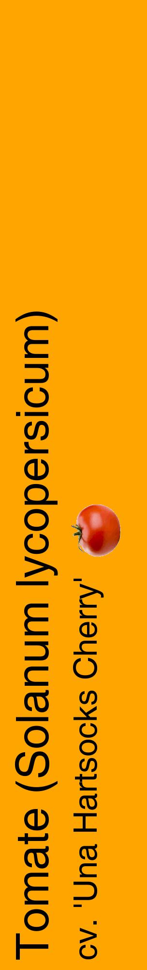 Étiquette de : Solanum lycopersicum cv. 'Una Hartsocks Cherry' - format c - style noire22_basiquehel avec comestibilité simplifiée
