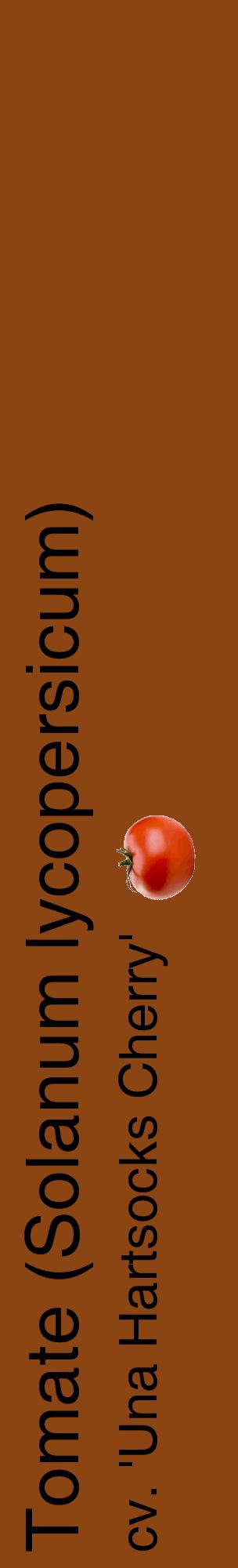 Étiquette de : Solanum lycopersicum cv. 'Una Hartsocks Cherry' - format c - style noire30_basiquehel avec comestibilité simplifiée