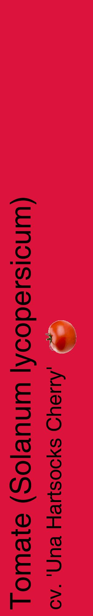 Étiquette de : Solanum lycopersicum cv. 'Una Hartsocks Cherry' - format c - style noire36_basiquehel avec comestibilité simplifiée