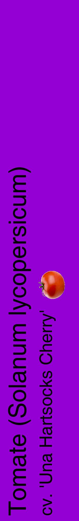 Étiquette de : Solanum lycopersicum cv. 'Una Hartsocks Cherry' - format c - style noire48_basiquehel avec comestibilité simplifiée