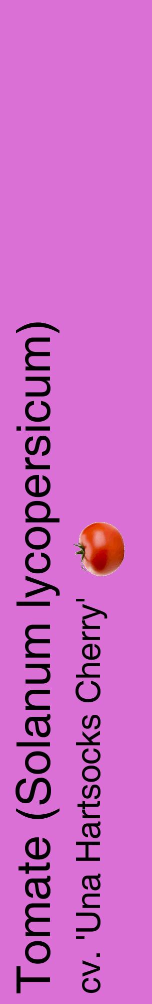 Étiquette de : Solanum lycopersicum cv. 'Una Hartsocks Cherry' - format c - style noire52_basiquehel avec comestibilité simplifiée