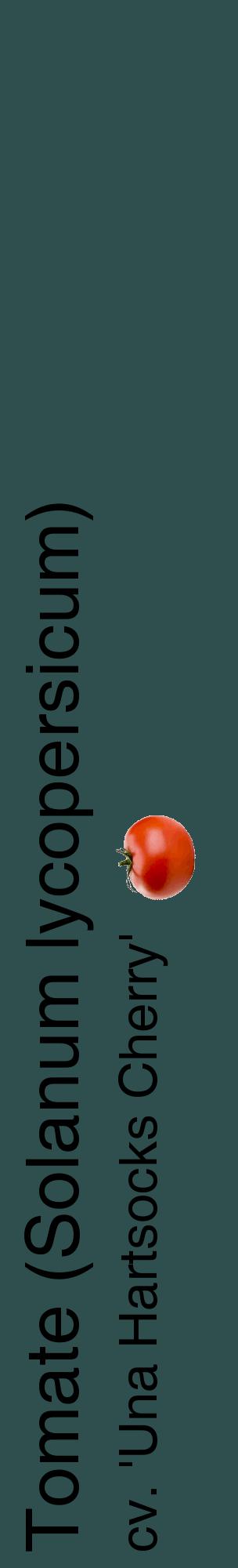 Étiquette de : Solanum lycopersicum cv. 'Una Hartsocks Cherry' - format c - style noire58_basiquehel avec comestibilité simplifiée