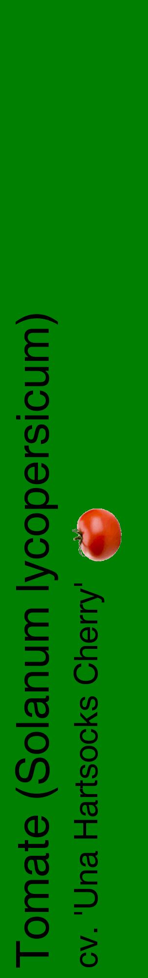 Étiquette de : Solanum lycopersicum cv. 'Una Hartsocks Cherry' - format c - style noire9_basiquehel avec comestibilité simplifiée