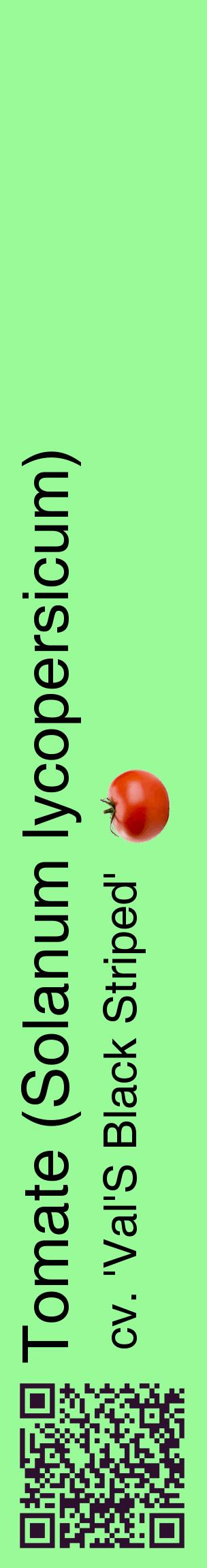 Étiquette de : Solanum lycopersicum cv. 'Val'S Black Striped' - format c - style noire14_basiquehel avec qrcode et comestibilité simplifiée