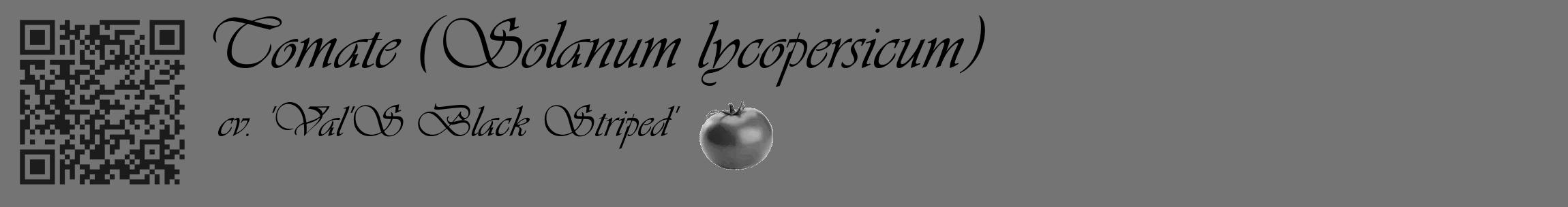 Étiquette de : Solanum lycopersicum cv. 'Val'S Black Striped' - format c - style noire26_basique_basiqueviv avec qrcode et comestibilité simplifiée