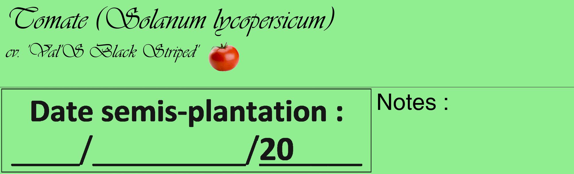 Étiquette de : Solanum lycopersicum cv. 'Val'S Black Striped' - format c - style noire15basique_basique_basiqueviv avec comestibilité simplifiée