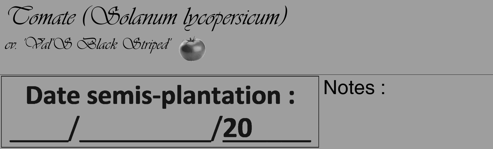 Étiquette de : Solanum lycopersicum cv. 'Val'S Black Striped' - format c - style noire23_basique_basiqueviv avec comestibilité simplifiée